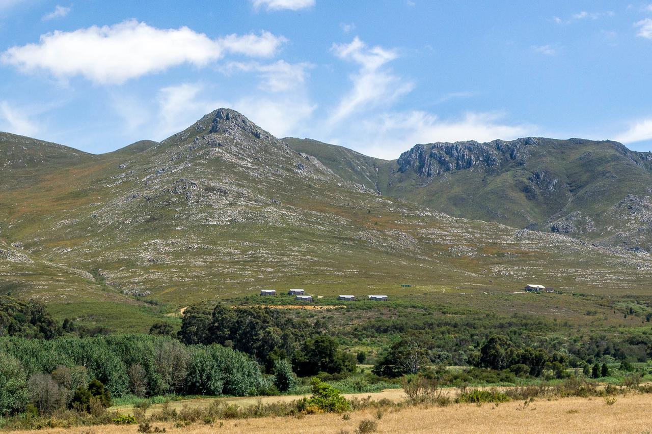 Phillipskop Mountain Reserve Stanford Εξωτερικό φωτογραφία