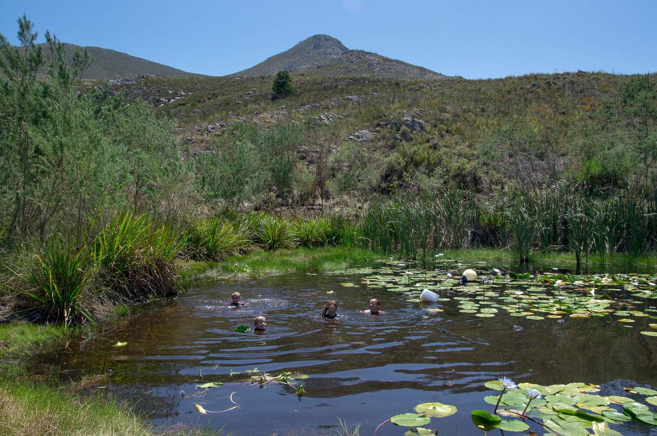Phillipskop Mountain Reserve Stanford Εξωτερικό φωτογραφία
