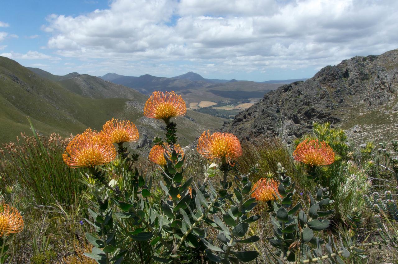 Phillipskop Mountain Reserve Stanford Εξωτερικό φωτογραφία